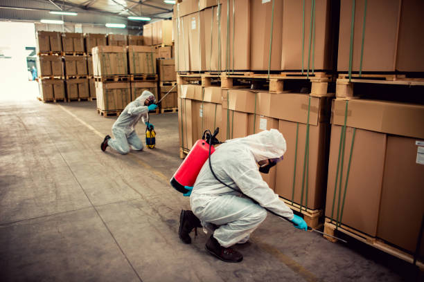 Best Rat Extermination Near Me  in Okeechobee, FL