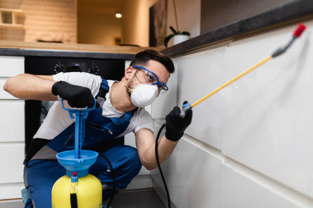 Best Exterminator Services  in Okeechobee, FL