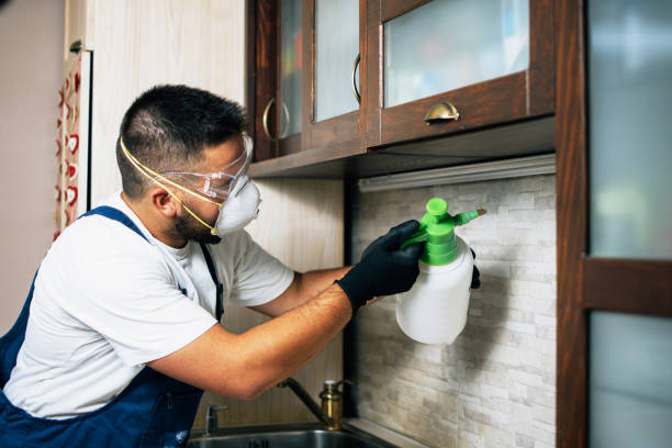 Best Mosquito Control Services  in Okeechobee, FL