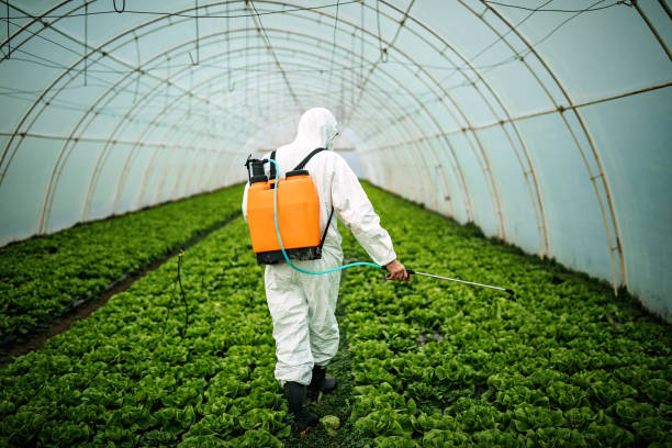 Best Best Pest Control Companies  in Okeechobee, FL