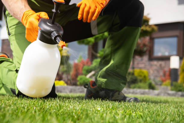 Pest Control Cost in Okeechobee, FL