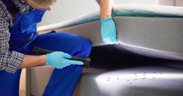 Best Bed Bug Extermination  in Okeechobee, FL