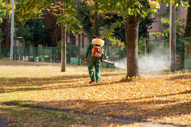 Best Pest Removal Services  in Okeechobee, FL
