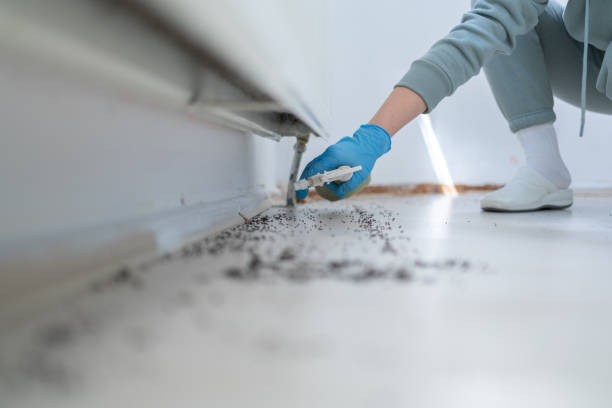Best Residential Pest Control  in Okeechobee, FL