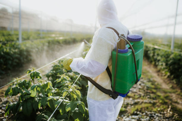 Best Affordable Pest Control Services  in Okeechobee, FL